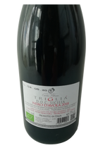 Load image into Gallery viewer, TRIGLIA NERO D&#39;AVOLA BIO DOC 2018 75CL 13%