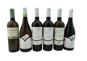 CANTINE PETROSINO MIXED WINE CASE X6 BOTTLES