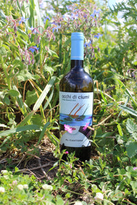 AL CANTARA OCCHI DI CIUMI ETNA BIANCO DOC 2020 12.5% 75CL